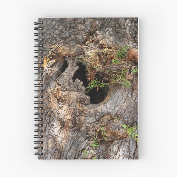 Item preview, Who Lives in This Tree Trunk? designed and sold by heatherfriedman.