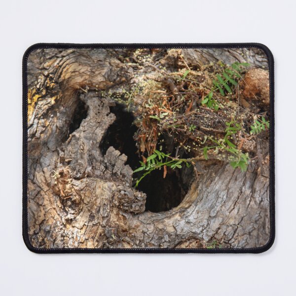 Item preview, Who Lives in This Tree Trunk? designed and sold by heatherfriedman.