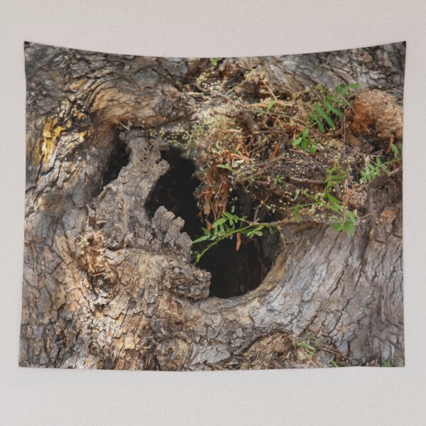 Item preview, Who Lives in This Tree Trunk? designed and sold by heatherfriedman.
