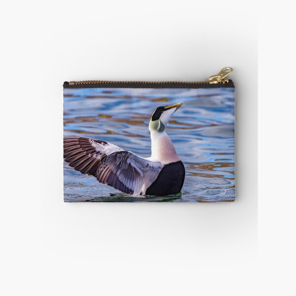 Item preview, Eider Duck Display designed and sold by Tom McPherson Photography.