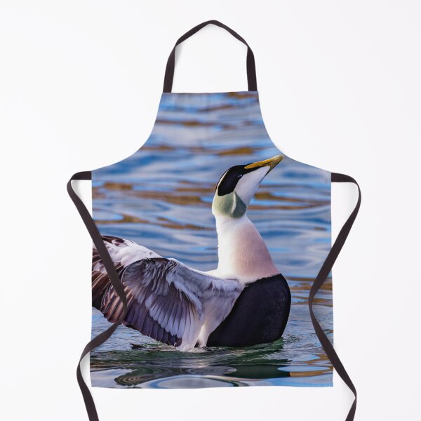 Item preview, Eider Duck Display designed and sold by Tom McPherson Photography.
