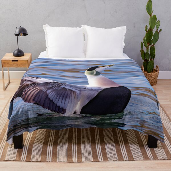 Item preview, Eider Duck Display designed and sold by Tom McPherson Photography.