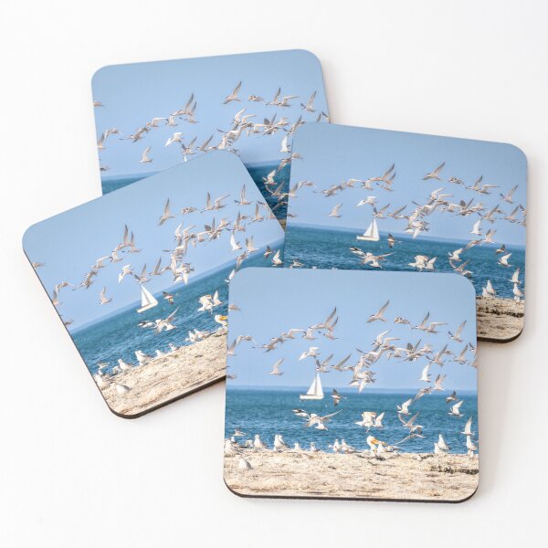 Item preview, Great white Pelicans standing on Lake Michigan rocks in Sheboygan  designed and sold by TerraMediaLLC.