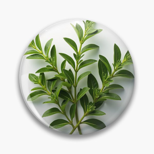 Item preview, Fresh Green Thyme Sprigs on White designed and sold by profustock.