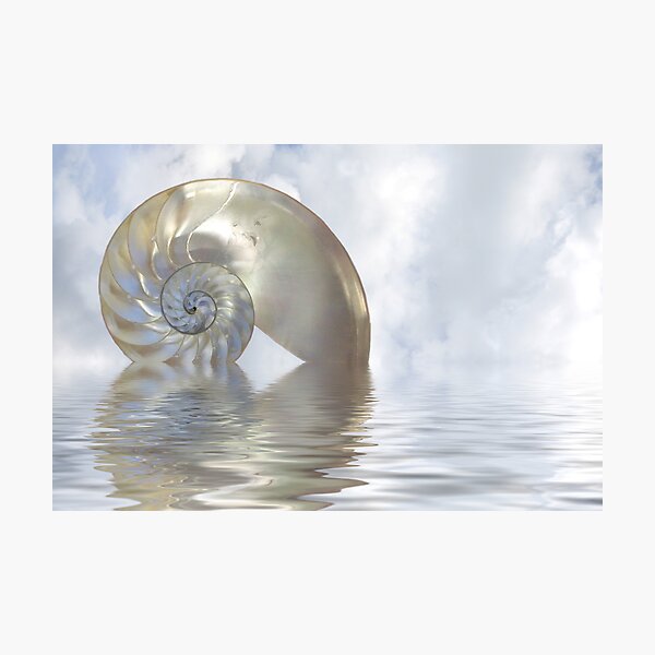 Item preview, Luminous designed and sold by Globalphotos.