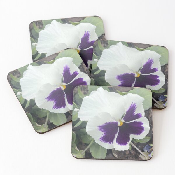 Item preview, White and Purple Pansy Viola Flower Macro Photography designed and sold by greyforaday.