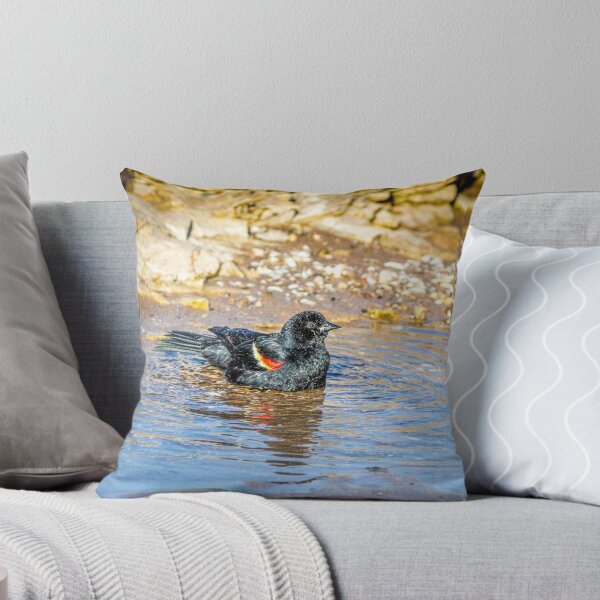 Item preview, Redwing Blackbird on Sheboygan's Lake Michigan rocks designed and sold by TerraMediaLLC.