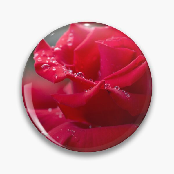Item preview, The rose and the dew designed and sold by laferte77.