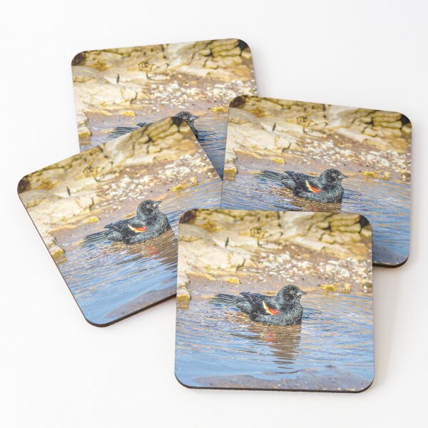 Item preview, Redwing Blackbird on Sheboygan's Lake Michigan rocks designed and sold by TerraMediaLLC.