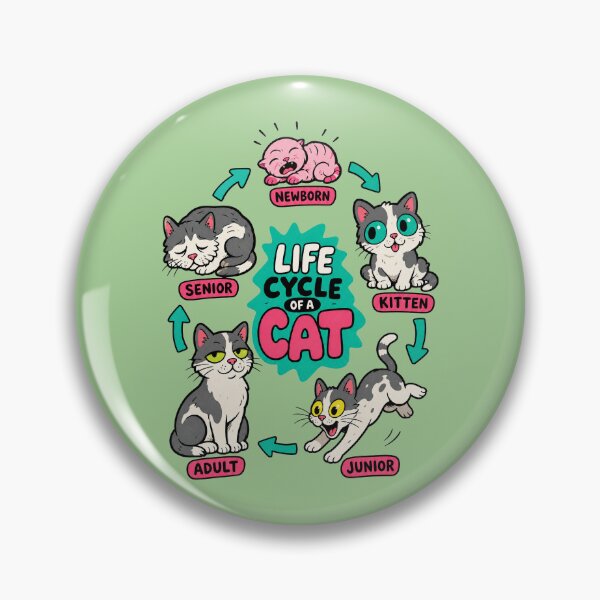Item preview, Life Cycle Of A Cat designed and sold by BrambleBox.
