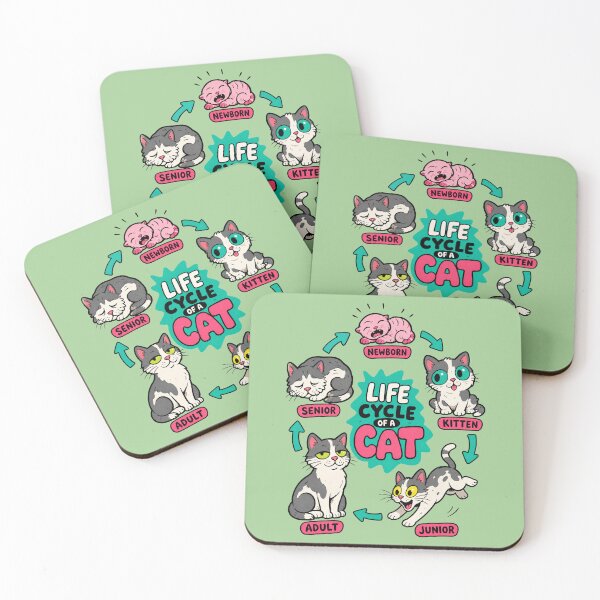 Item preview, Life Cycle Of A Cat designed and sold by BrambleBox.