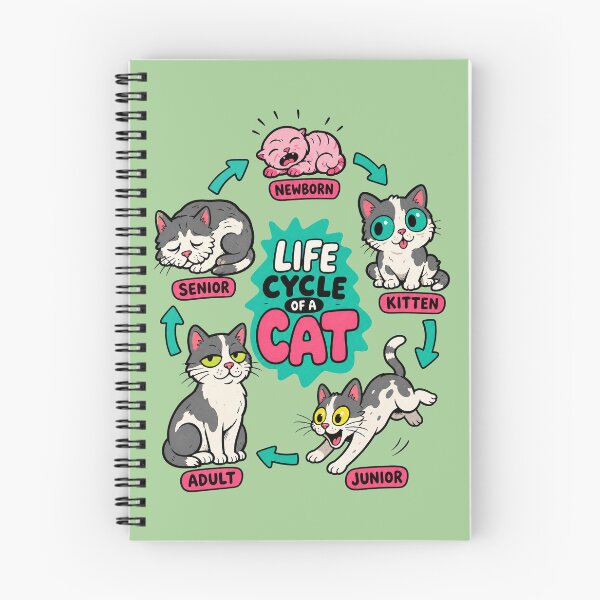 Item preview, Life Cycle Of A Cat designed and sold by BrambleBox.