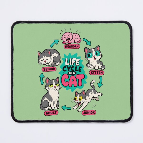 Item preview, Life Cycle Of A Cat designed and sold by BrambleBox.