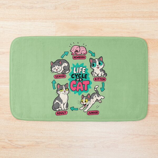 Aperçu de l'œuvre Cycle de vie d'un chat créée et vendue par BrambleBox.