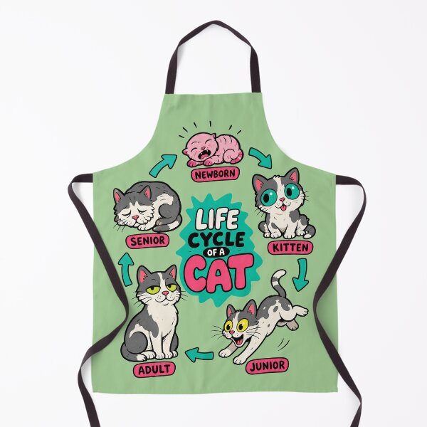 Item preview, Life Cycle Of A Cat designed and sold by BrambleBox.