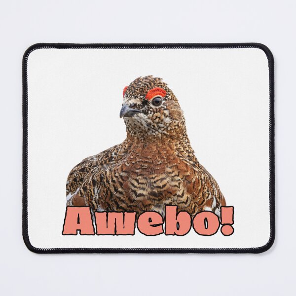 Item preview, Awebo Bird Meme | Willow Ptarmigan Funny Cute Bird Design designed and sold by HelgaCraftery.