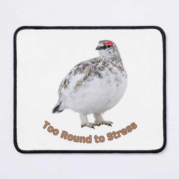 Item preview, Too Round To Stress Awebo Bird | Willow Ptarmigan Meme designed and sold by HelgaCraftery.