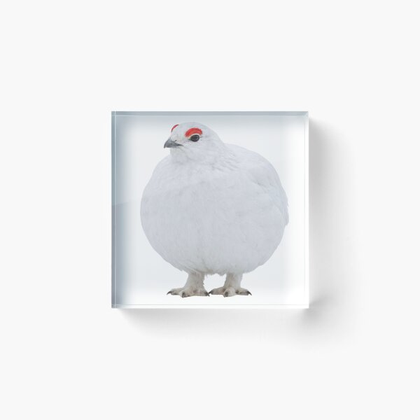 Item preview, Awebo Bird | Willow Ptarmigan Funny Meme designed and sold by HelgaCraftery.