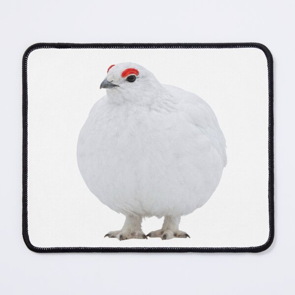 Item preview, Awebo Bird | Willow Ptarmigan Funny Meme designed and sold by HelgaCraftery.