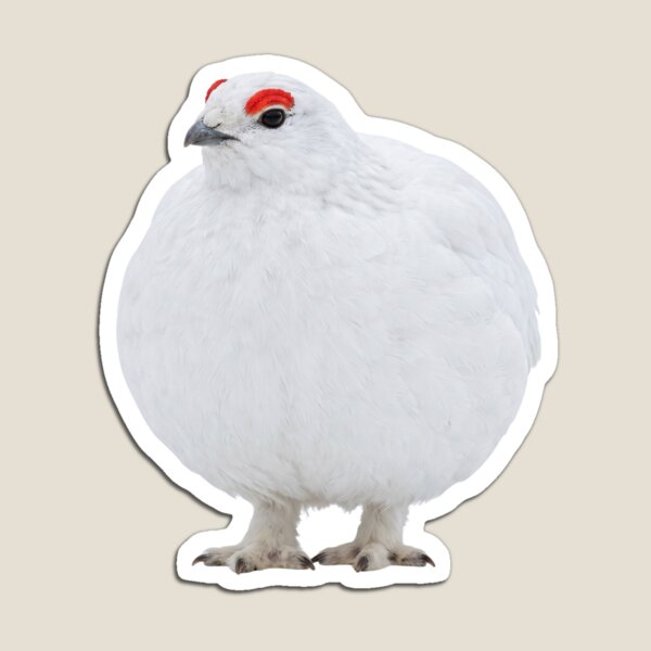 Item preview, Awebo Bird | Willow Ptarmigan Funny Meme designed and sold by HelgaCraftery.