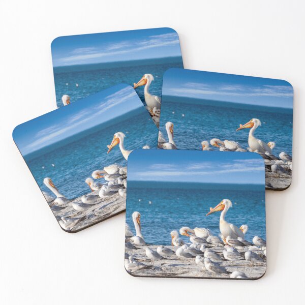 Item preview, Great White Pelicans standing on rocks on Lake Michigan rocks in Sheboygan  designed and sold by TerraMediaLLC.