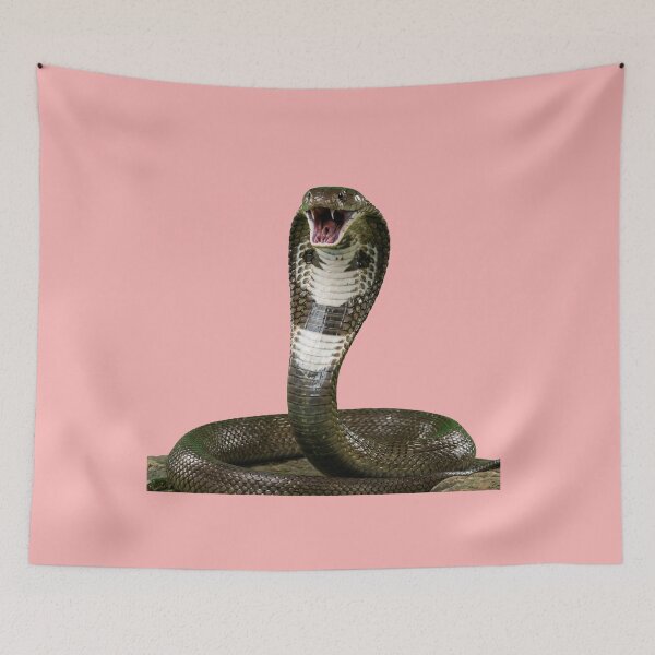 Item preview, Realistic Angry King Cobra Striking designed and sold by Utopian-Magic.