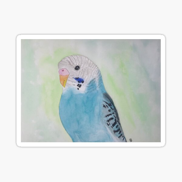 Budgie Sticker
