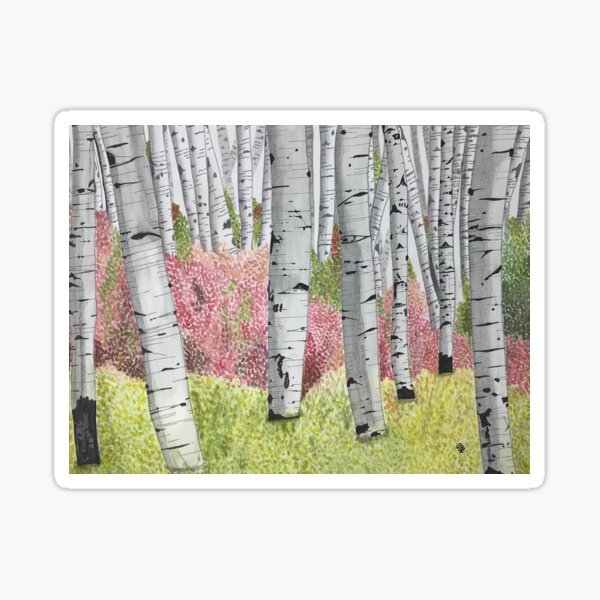 Birch trees Sticker