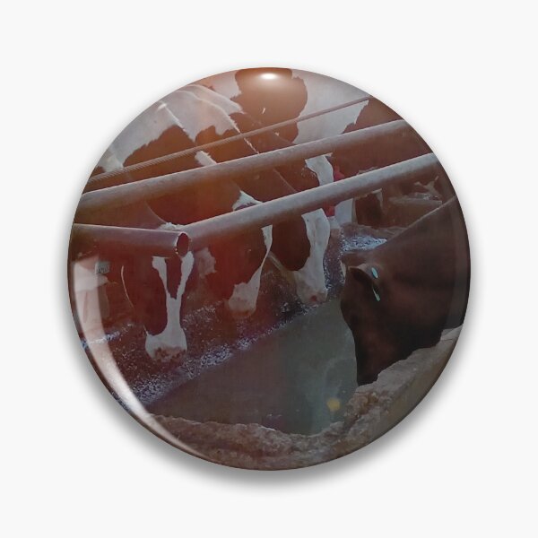 Item preview, photograthy designed and sold by pksart1.