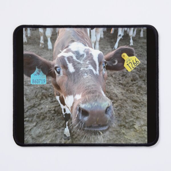 Item preview, photograthy of a cow designed and sold by pksart1.