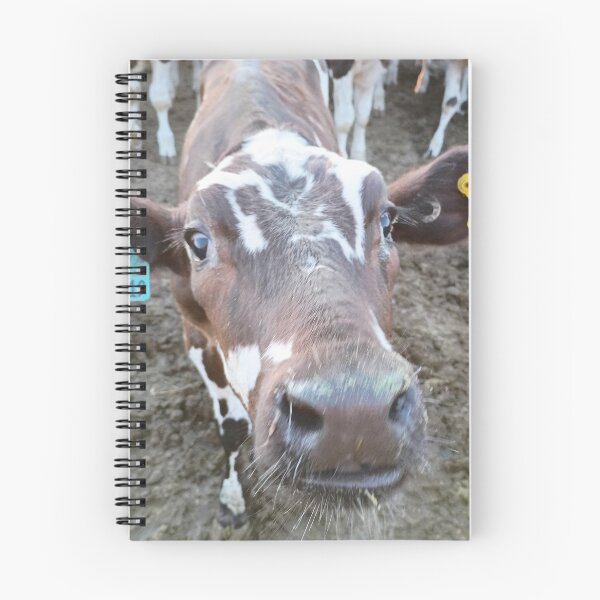 Item preview, fotografía de una vaca designed and sold by pksart1.