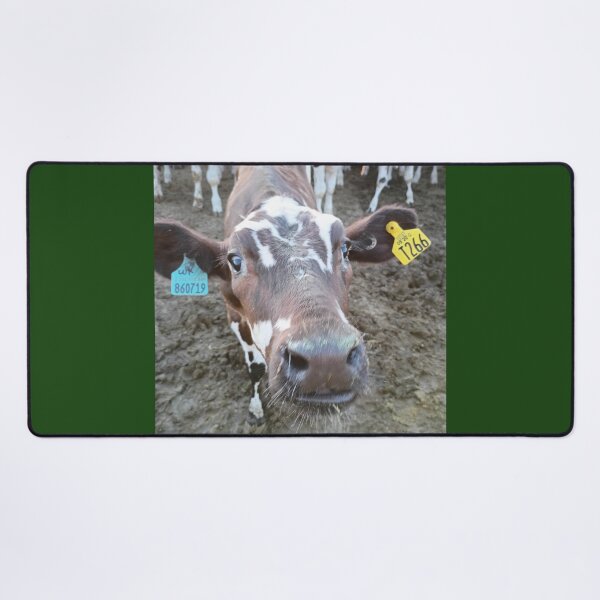Item preview, photograthy of a cow designed and sold by pksart1.