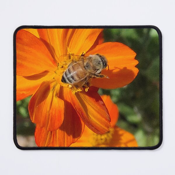 Item preview, Full on bee resting on orange flower designed and sold by FABric Photos.