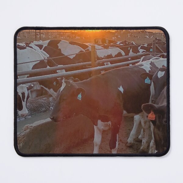 Item preview, photograth of a cow designed and sold by pksart1.