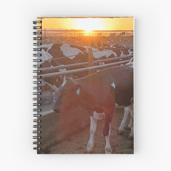 Item preview, fotografía de una vaca designed and sold by pksart1.