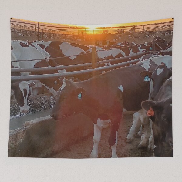 Item preview, photograth of a cow designed and sold by pksart1.
