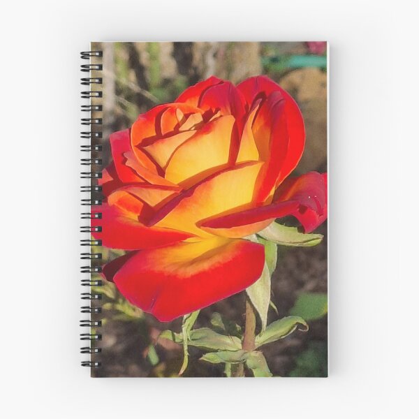 Item preview, Stunning Rose designed and sold by FABric Photos.
