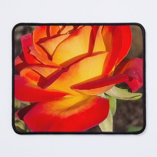 Item preview, Stunning Rose designed and sold by FABric Photos.