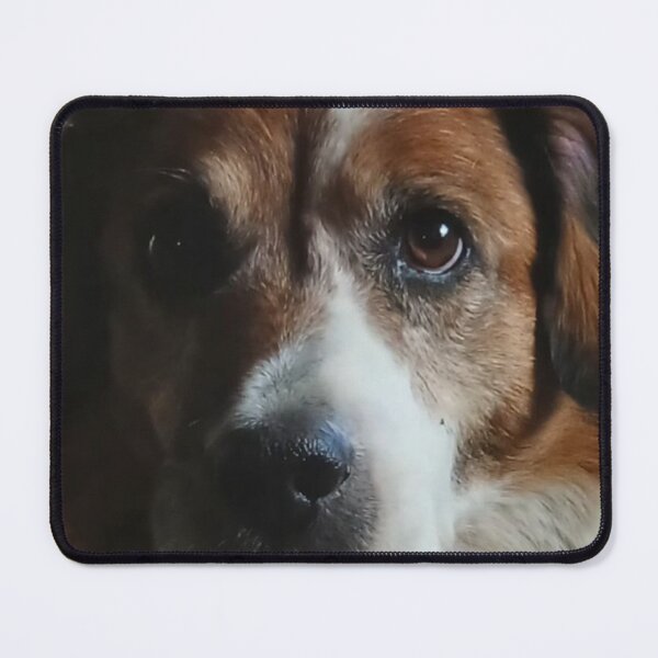 Item preview, Donald: Dog Pet designed and sold by AndresGArt.