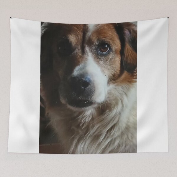 Item preview, Donald: Dog Pet designed and sold by AndresGArt.