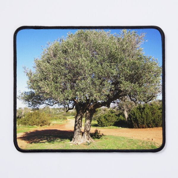Item preview, Olive Tree designed and sold by Alexander Krishchyunas.