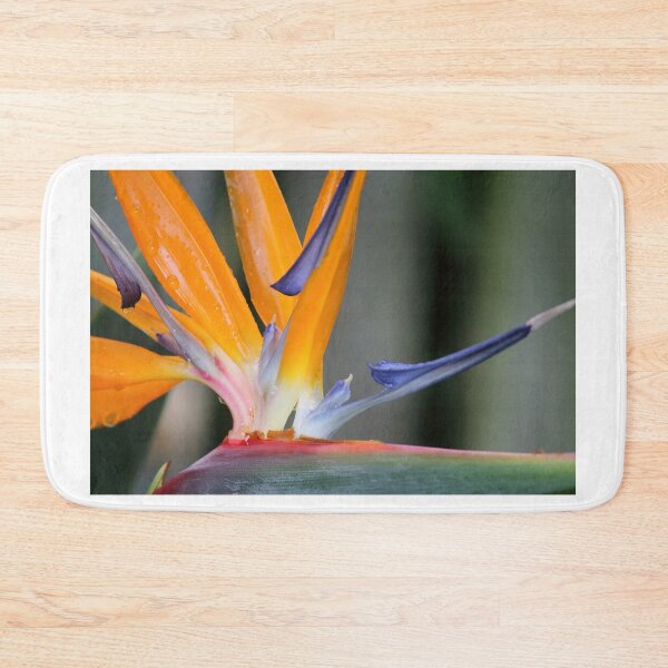 Item preview, Bird of Paradise Flower Close Up designed and sold by 27Tammy27.