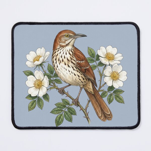 Item preview, Brown Thrasher Bird with White Wild Roses designed and sold by BirdsnStuff.