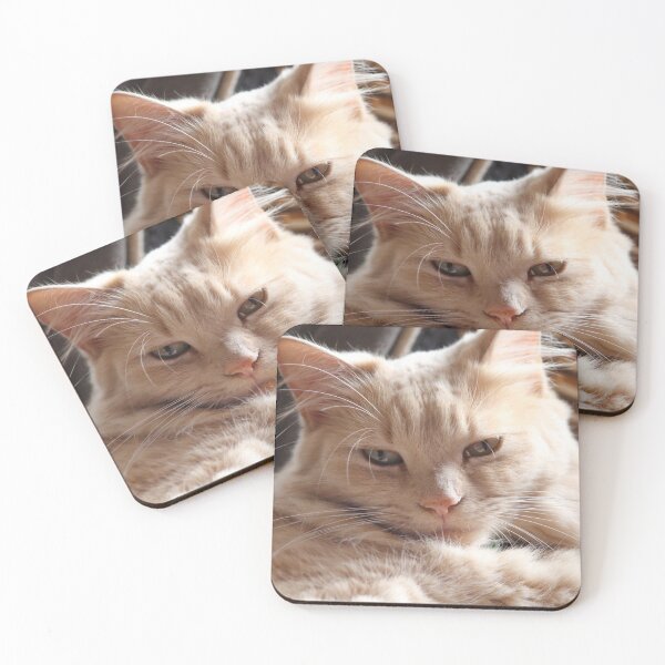 Item preview, Fluffy Ginger Cat Relaxing Close Up designed and sold by 27Tammy27.