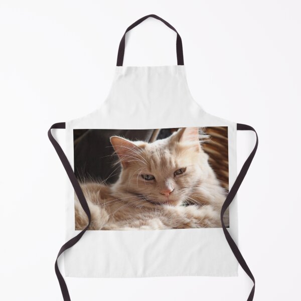 Item preview, Fluffy Ginger Cat Relaxing Close Up designed and sold by 27Tammy27.
