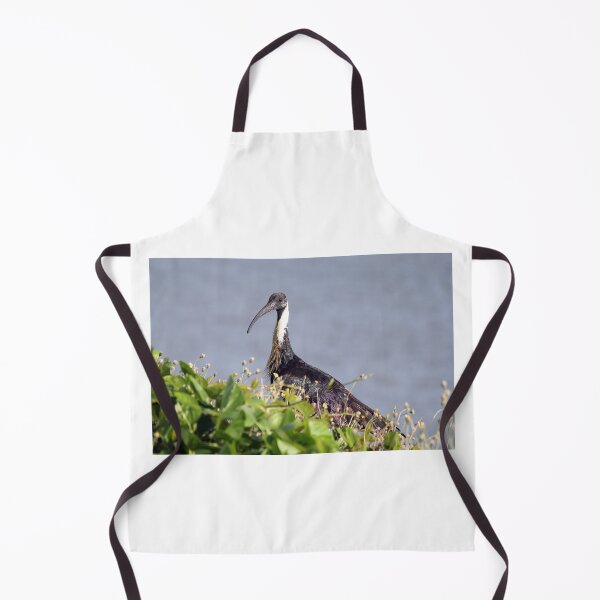 Item preview, Straw-necked Ibis by the Water designed and sold by 27Tammy27.