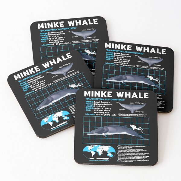 Item preview, Copy of Minke whale data sheet designed and sold by NicGrayGraphic.