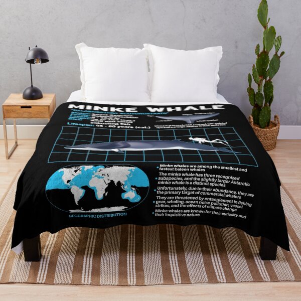 Item preview, Copy of Minke whale data sheet designed and sold by NicGrayGraphic.
