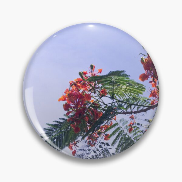 Item preview, Royal Poinciana tree designed and sold by ROSE ANN BANILAR.