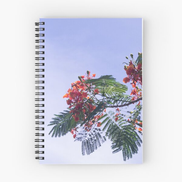 Item preview, Royal Poinciana tree designed and sold by ROSE ANN BANILAR.